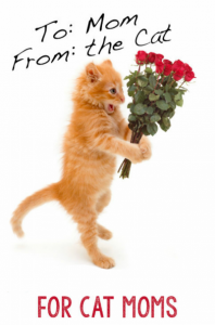 a mother's day greeting 